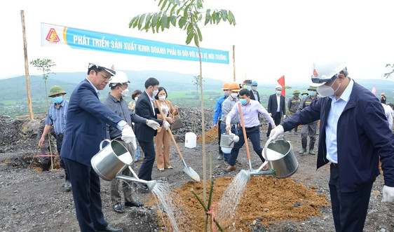 Gang thép Thái Nguyên trồng cây hưởng ứng Chương trình 1 tỷ cây xanh