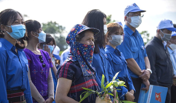 Bộ TN&MT trao tặng 70.000 cây xanh cho người dân miền núi Thừa Thiên - Huế