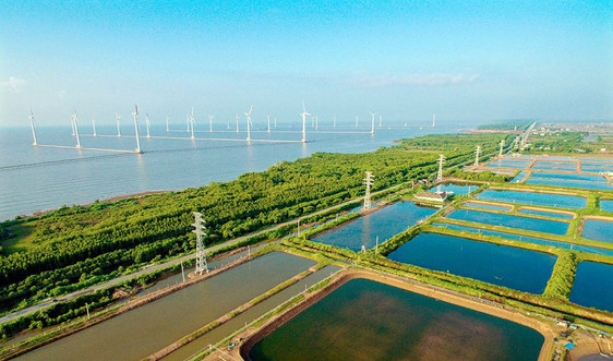 Kinh tế Việt Nam vượt thách thức do biến đổi khí hậu: Dự báo về mối đe dọa với phát triển kinh tế