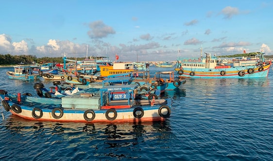 Phú Quý - gần lại những chấm xanh