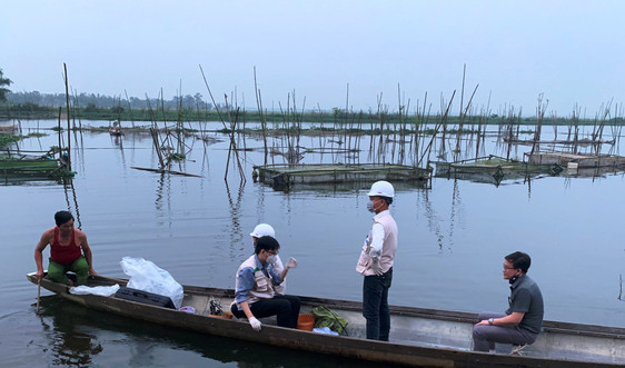 Thừa Thiên – Huế: Cá nuôi lồng bất ngờ chết hàng loạt