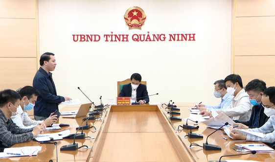 Quảng Ninh: Đẩy nhanh tiến độ triển khai lập, thẩm định kế hoạch sử dụng đất cấp tỉnh giai đoạn 2021- 2025