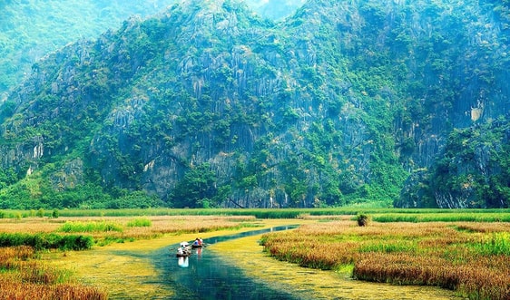 Chung tay phục hồi hệ sinh thái: Gia tăng diện tích các hệ sinh thái tự nhiên được bảo vệ, phục hồi