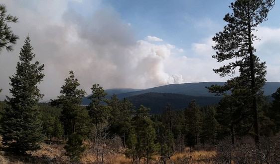 Cháy rừng ở New Mexico khiến hàng nghìn người sơ tán