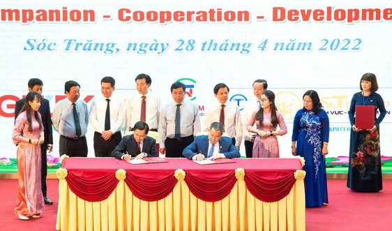 Trungnam Group thực hiện đầu tư các dự án mới tại Sóc Trăng