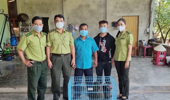 Huế: Người dân tự nguyện giao nộp động vật quý hiếm