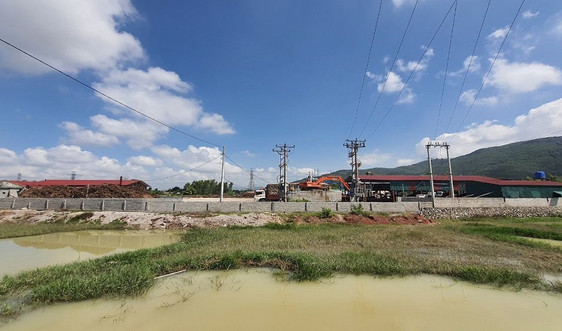 Vụ vi phạm đất đai, xây dựng của Công ty Vinh Nhất tại Nghi Sơn (Thanh Hóa): Báo TN&MT phản ánh đúng thực tế