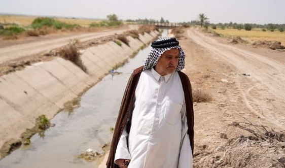 Hạn hán đe dọa ngành trồng lúa Iraq