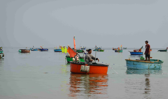 Bình Định hưởng ứng Tuần lễ Biển và Hải đảo Việt Nam và Ngày Đại dương thế giới năm 2022