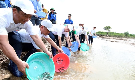 Trồng rừng ngập mặn, thả cá hưởng ứng ngày Quốc tế đa dạng sinh học và Tháng hành động vì môi trường