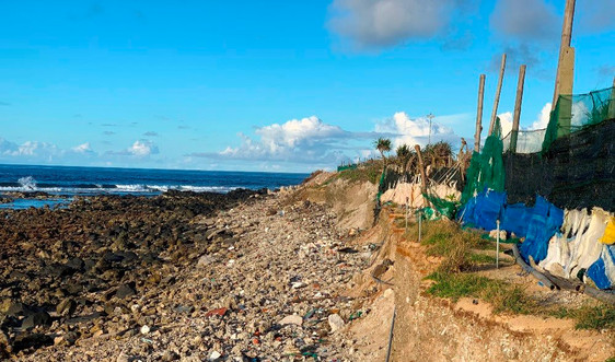 Lý Sơn (Quảng Ngãi): Người dân lo mất đất canh tác vì sạt lở bờ biển 
