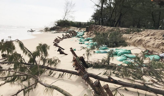 Thừa Thiên - Huế: Đầu tư 160 tỷ đồng khắc phục sạt lở bờ biển