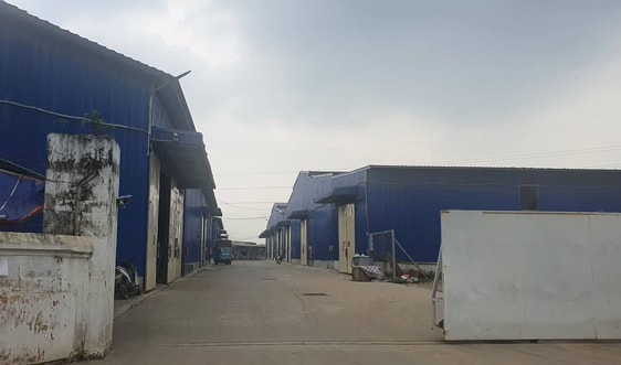 An Thượng – Hoài Đức: Cần xử lý triệt để vi phạm trên đất nông nghiệp, đất công
