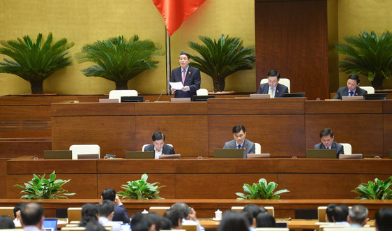 Cơ chế đặc thù giúp Khánh Hòa trở thành động lực phát triển kinh tế vùng Tây Nguyên và Nam Trung Bộ