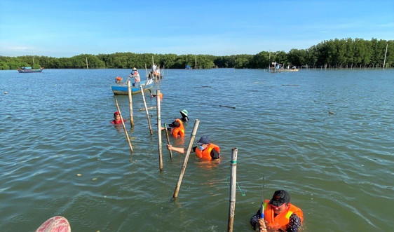 Bình Định: Xử lý tình trạng lấn chiếm đầm Thị Nại để nuôi trồng thủy sản