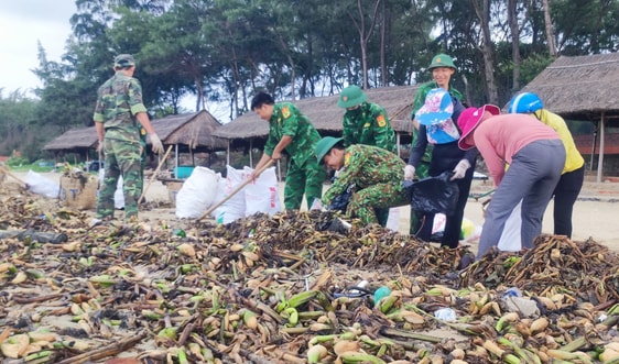 Thu gom hàng tấn rác trôi dạt vào bờ biển Vũng Tàu
