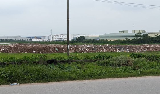 Hưng Yên: Tự ý san lấp mặt bằng Công ty TNHH thương mại Dương Việt Nhật bị xử phạt