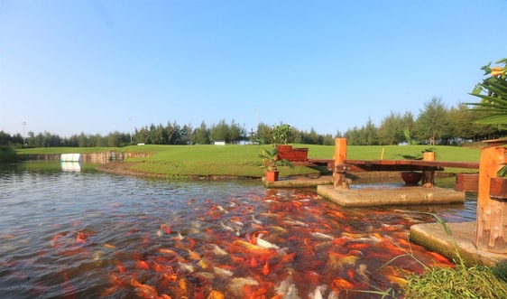 Hội mê Golf không thể bỏ lỡ điểm check-in siêu Hot hè này