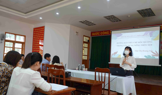 Bình Định: Tập huấn thực hiện tiêu chí môi trường nông thôn mới