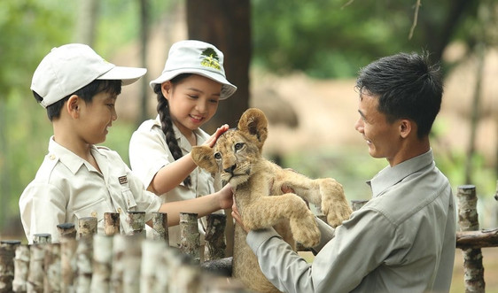 Chuyện ít người biết về những “bảo mẫu” động vật hoang dã tại Vinpearl Safari Phú Quốc