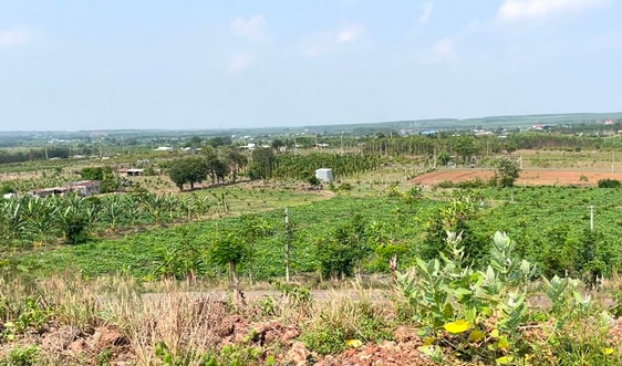 Bà Rịa - Vũng Tàu: Không để xảy ra tình trạng trục lợi trong đấu giá đất công