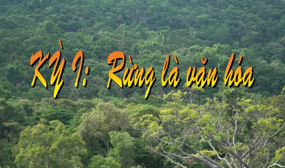 Giữ rừng mãi xanh - Kỳ 1: Rừng là văn hóa