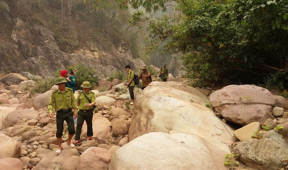 Khu BTTN Mường Nhé: Bám sát nhiệm vụ quản lý bảo vệ rừng