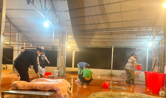 Lào Cai: Xây dựng cơ sở giết mổ gia súc tập trung bài toán hay trong công tác bảo vệ môi trường
