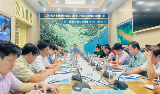 Cập nhật thường xuyên hướng di chuyển, cường độ bão số 3 để chủ động ứng phó