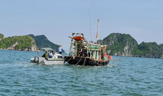 Bài dự thi “Cùng giữ màu xanh của biển”: Bảo tồn hệ sinh thái rạn san hô - Bài 2: Rạn san hô kêu cứu