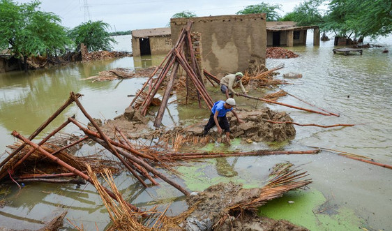 Lũ lụt ở Pakistan ảnh hưởng đến hơn 30 triệu người
