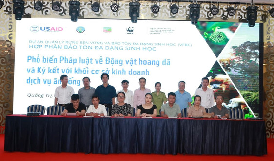 Quảng Trị: Gần 50 cơ sở kinh doanh ký cam kết không mua bán, tiêu thụ động vật hoang dã