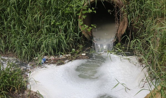 Thừa Thiên – Huế: Gây ô nhiễm, doanh nghiệp bị phạt gần 300 triệu đồng