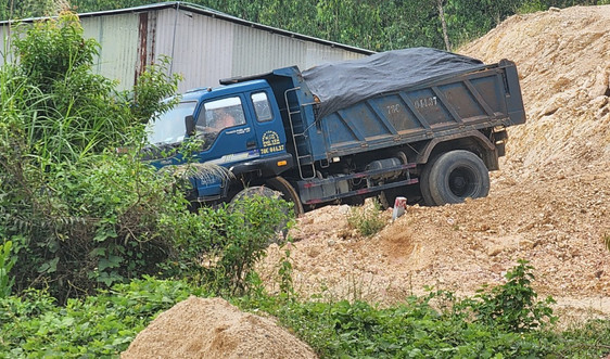 Phú Yên: Xử lý các trường hợp cải tạo, khai thác đất trái phép tại xã Xuân Lâm sau phản ánh của Báo TN&MT 