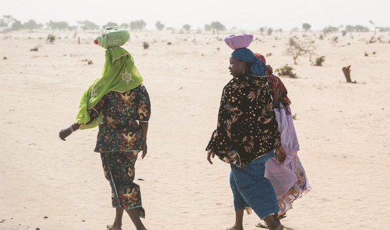 Biến đổi khí hậu ở châu Phi có thể gây bất ổn cho các quốc gia và toàn khu vực