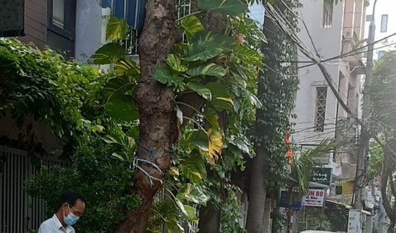 Đà Nẵng: Tăng cường kiểm tra, giám sát công tác thu gom, xử lý rác thải 