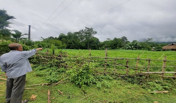 Vụ “Cần trả ngay đất về chính chủ” tại Bá Thước (Thanh Hóa): Sẽ cưỡng chế để thi hành án dứt điểm