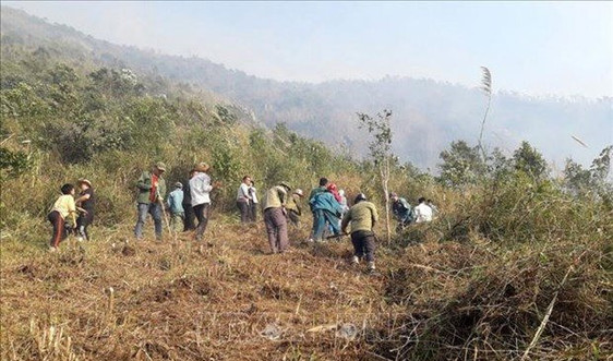 Lai Châu: Tăng cường công tác quản lý bảo vệ rừng và phòng cháy, chữa cháy rừng mùa khô.