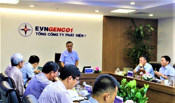 Đoàn công tác Tập đoàn điện lực Việt Nam làm việc tại EVNGENCO1