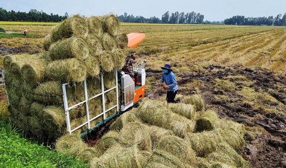 Thúc đẩy phát triển nông nghiệp tuần hoàn tại  Việt Nam