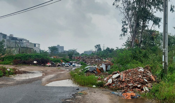 Đà Nẵng: Dân sống với cây dại và rác thải
