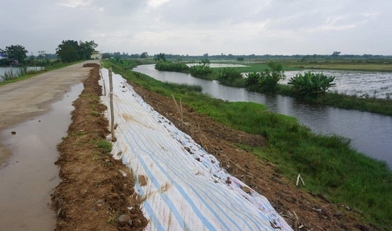 Thanh Hóa: Công bố tình huống khẩn cấp sự cố sụt lún đê sông Mã