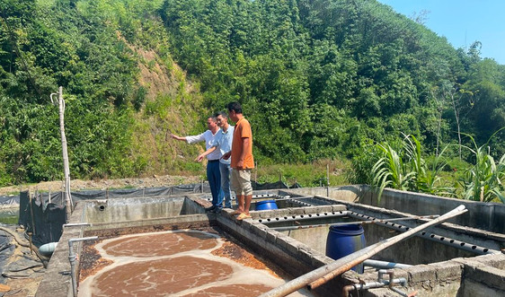 Sơn La: Triển khai các giải pháp bảo vệ môi trường, nguồn nước niên vụ 2022 – 2023