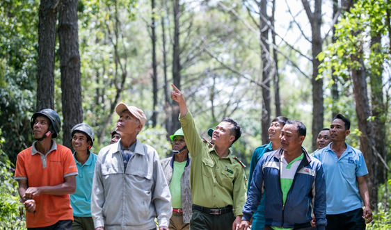 Chính sách chi trả dịch vụ môi trường rừng tại Lâm Đồng