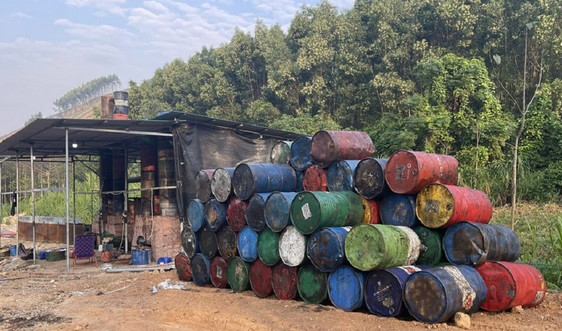 Nghệ An: Phát hiện cơ sở tái chế dầu thải không phép trong rừng