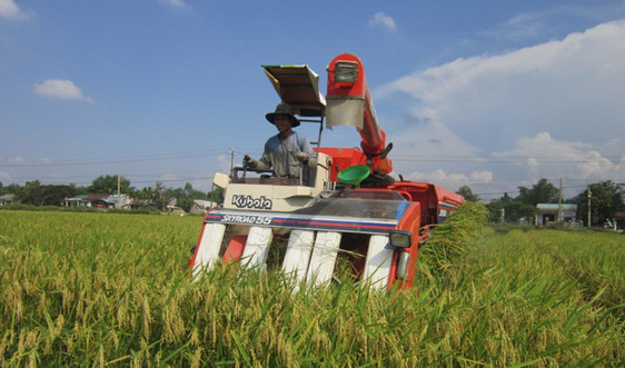 Quảng Nam: Tích tụ ruộng đất, nâng cao thu nhập cho người dân