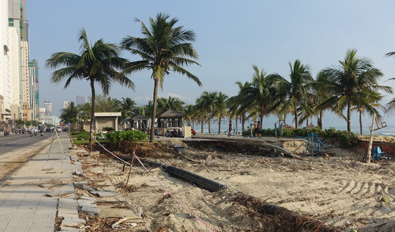 Đà Nẵng: Bảo vệ hành lang bờ biển trước BĐKH