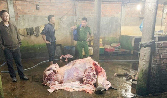 Quảng Nam: Bố trí quỹ đất để đầu tư xây dựng nhiều cơ sở giết mổ động vật tập trung