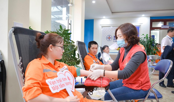 Công ty Điện lực Điện Biên tham gia hiến máu trong Tuần lễ hồng EVN
