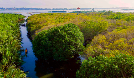 Thừa Thiên – Huế: Nỗ lực bảo tồn đa dạng sinh học